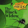 The_black_widow_spider