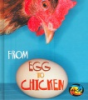 From_egg_to_chicken