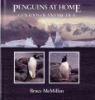 Penguins_at_home