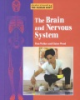 The_brain_and_nervous_system___Pam_Walker_and_Elaine_Wood