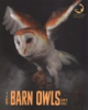 Barn_owls