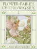Flower_fairies_of_the_wayside