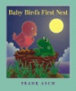 Baby_Bird_s_first_nest