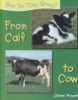 From_calf_to_cow