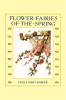 Flower_Fairies_of_the_Spring