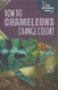 How_do_chameleons_change_color_