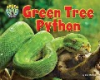Green_tree_python