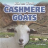 Cashmere_goats