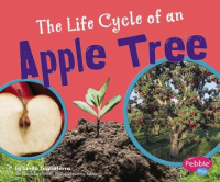 The_life_cycle_of_an_apple_tree